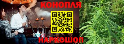 эйфоретик Тара