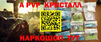 эйфоретик Тара