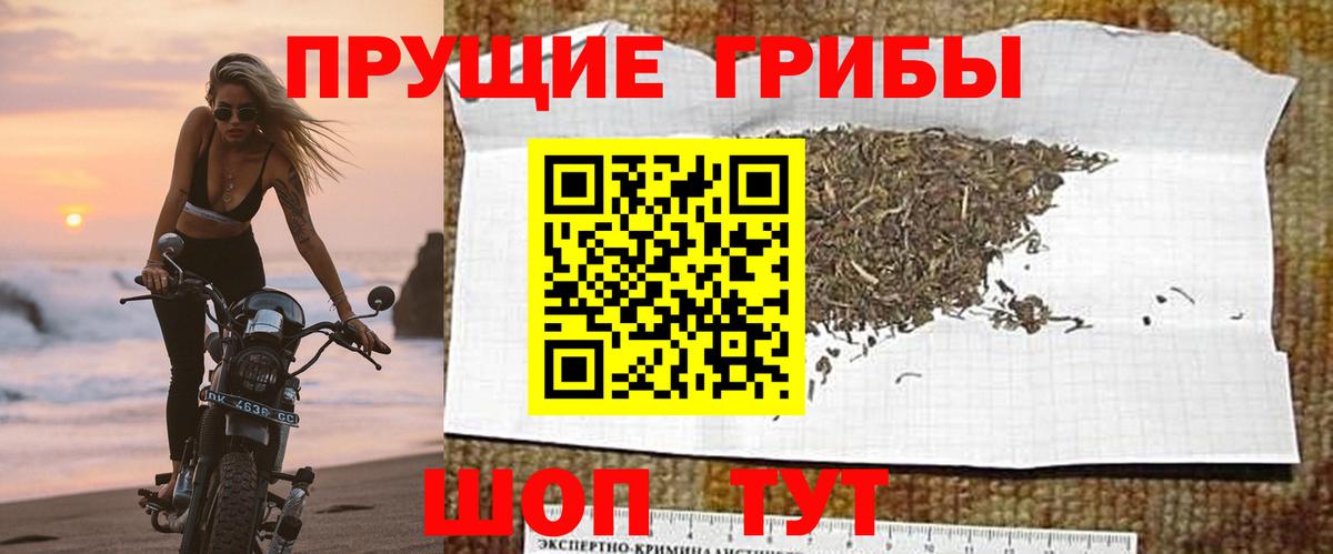 Галлюциногенные грибы GOLDEN TEACHER Иркутск